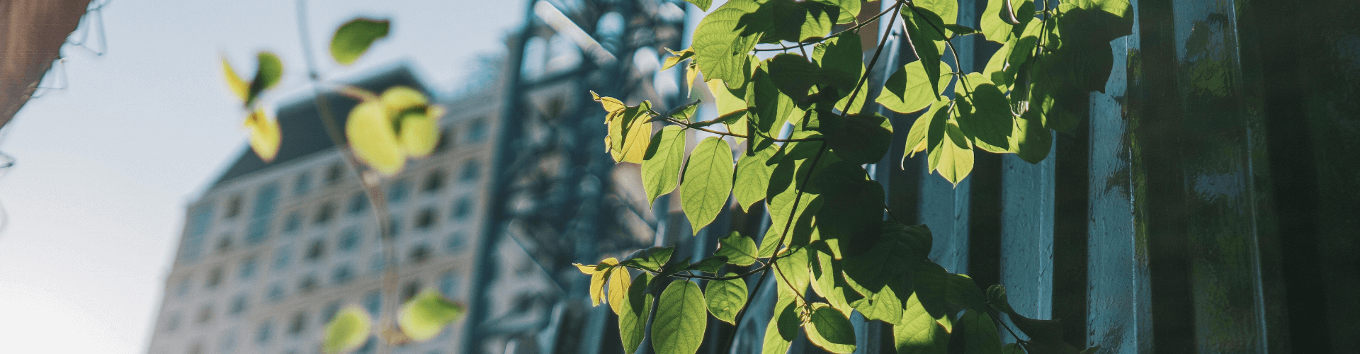 L&B Synergie, prêt à vous accompagner dans vos projets de communication RSE