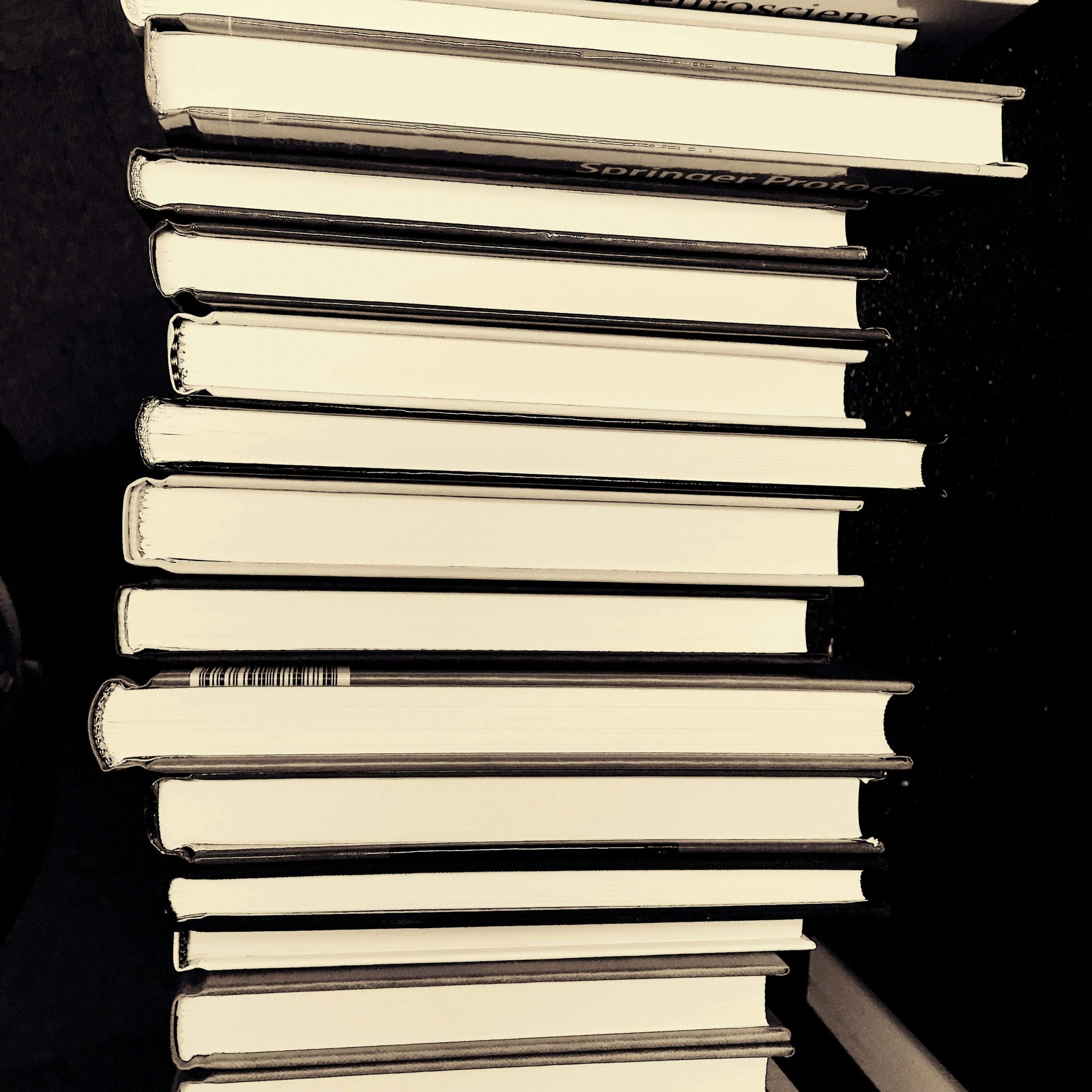 pile de livre