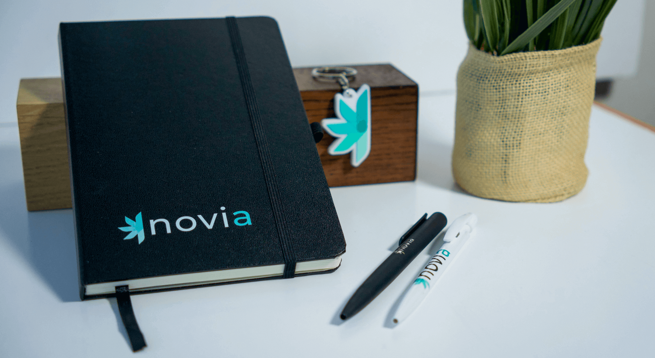 Goodies Novia
