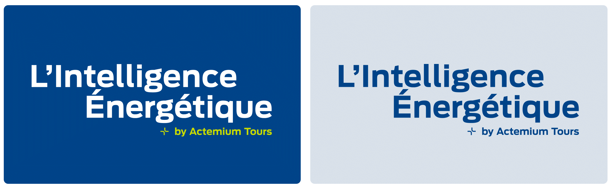 Branding de l'offre - logotype déclinaisons